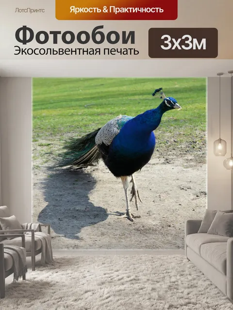 Фотообои Павлин 3