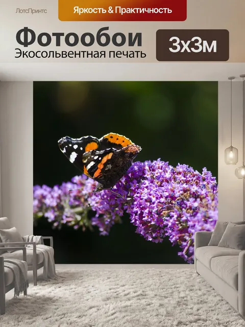 Фотообои Бабочки