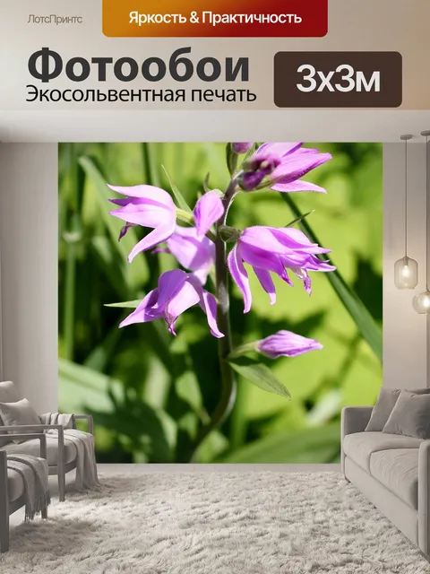 Фотообои Красная лесная птица