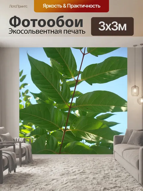 Фотообои Лист