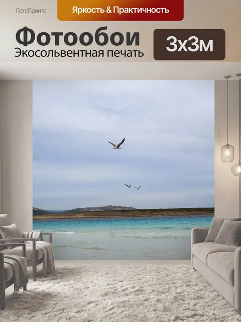 Фотообои Чайка