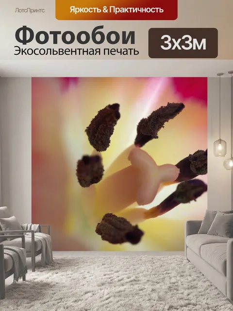 Фотообои Макрос