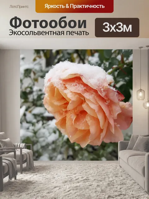 Фотообои Снег