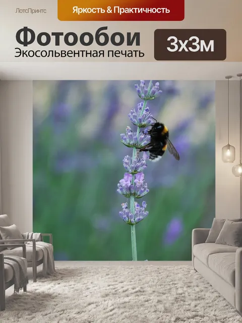 Фотообои Лаванда