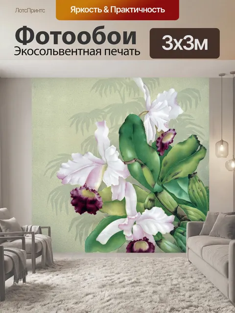 Фотообои Цветы орхидеи Живопись
