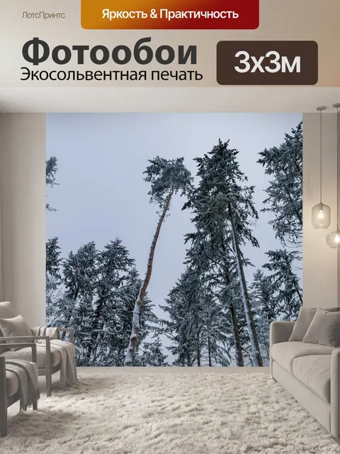 Фотообои Снег