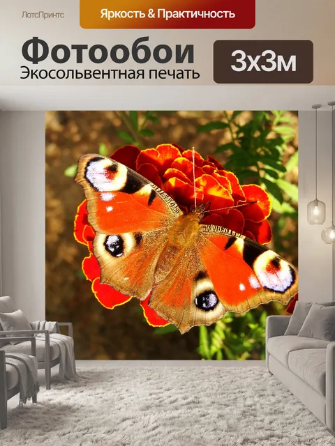 Фотообои Природа