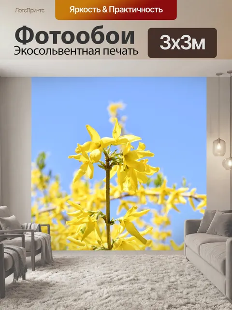 Фотообои Весна