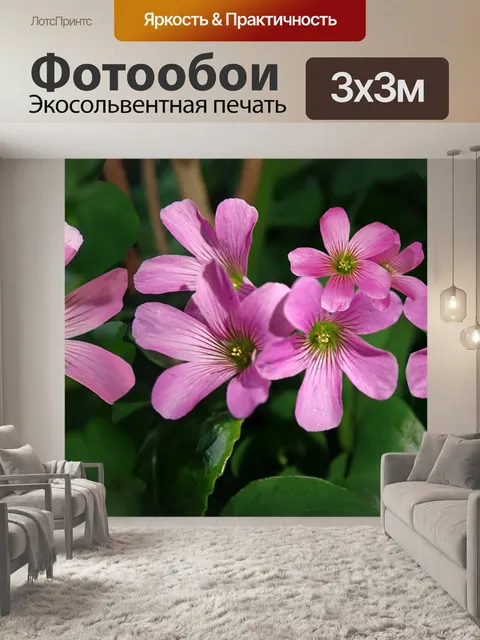 Фотообои Цветы