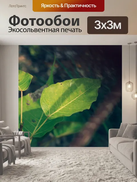 Фотообои Бо