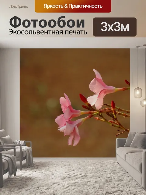 Фотообои Олеандр