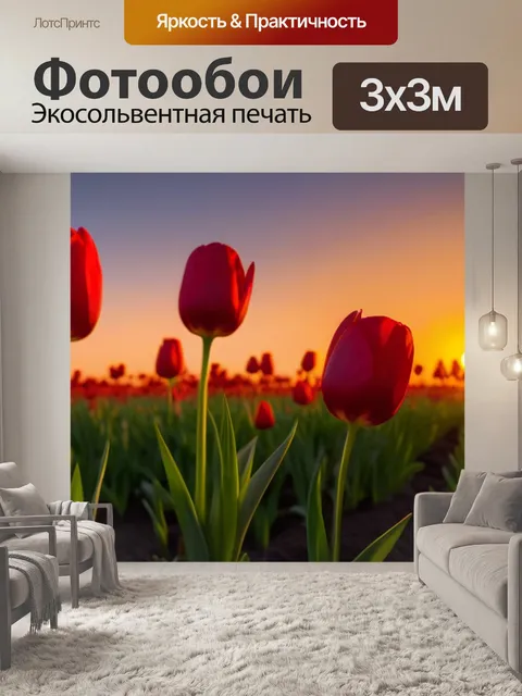 Фотообои тюльпаны при закате