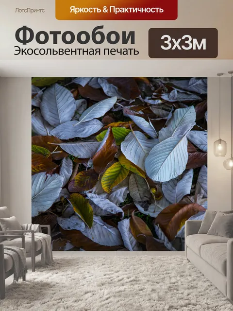 Фотообои Осенние листья
