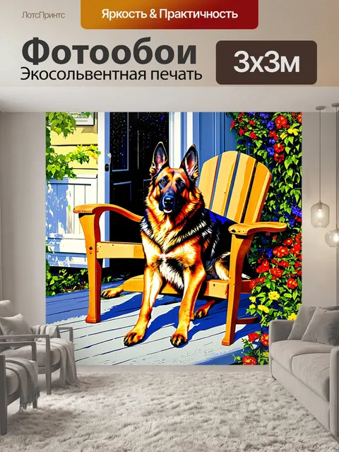 Фотообои немецкая овчарка, уютно расположившаяся на стульях на веранде старого дома