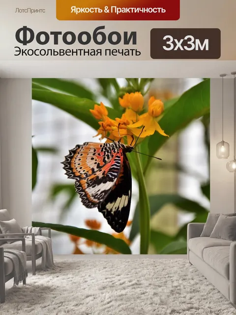 Фотообои Окрашенные леди