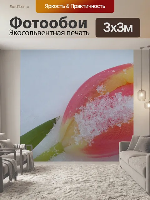 Фотообои Тюльпан в снегу