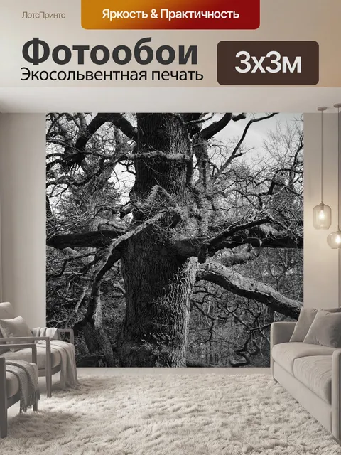 Фотообои Дерево