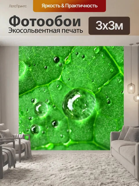Фотообои Капля воды на листе