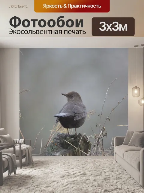 Фотообои Женская черная птица
