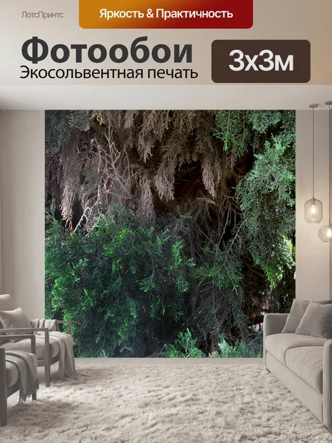 Фотообои Деревья и листья 11