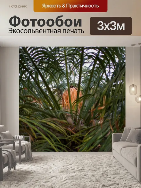 Фотообои Дерево