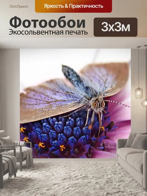 Фотообои Бабочка