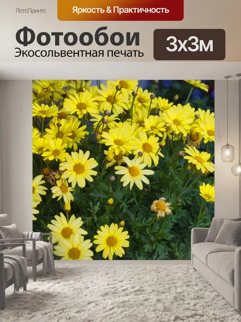 Фотообои Желтые Dasies