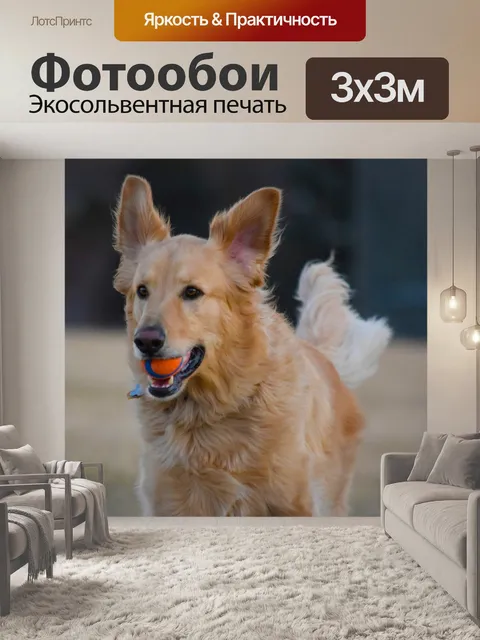 Фотообои Собака
