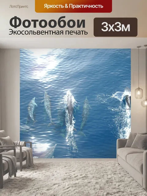 Фотообои Дельфин