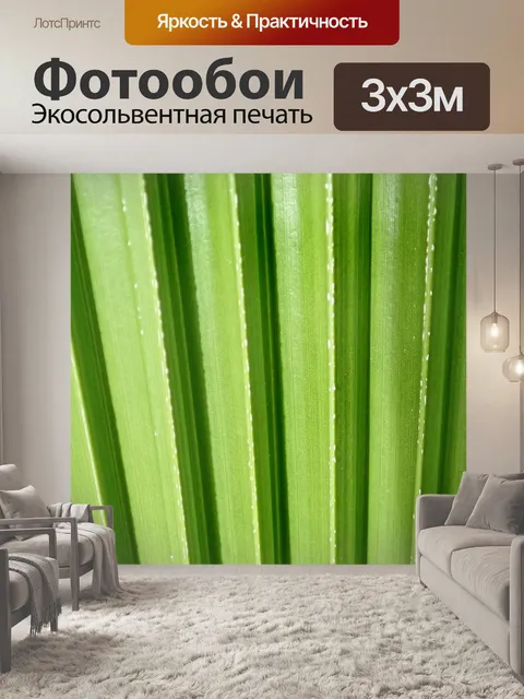 Фотообои Лист