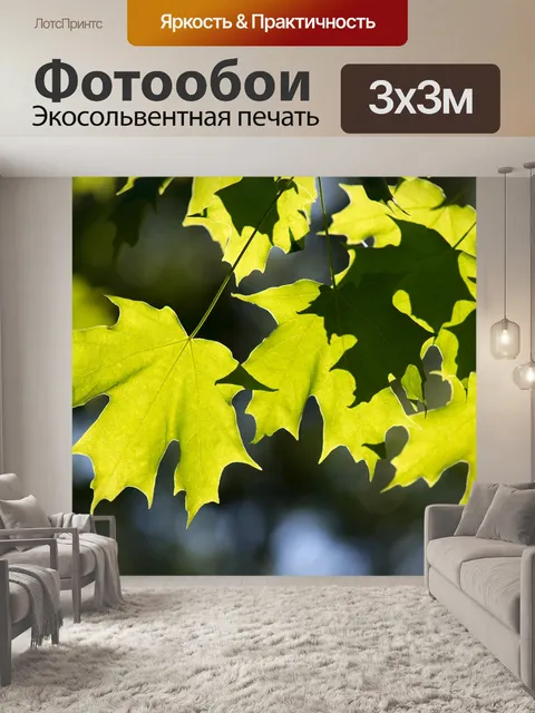 Фотообои Листья