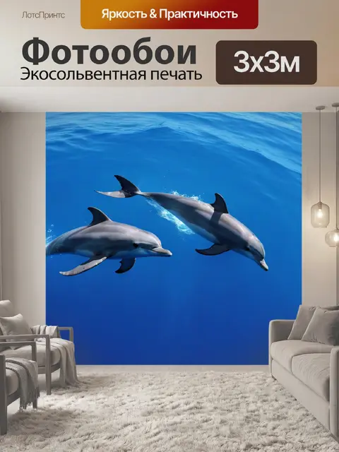 Фотообои встреча с дельфинами в море