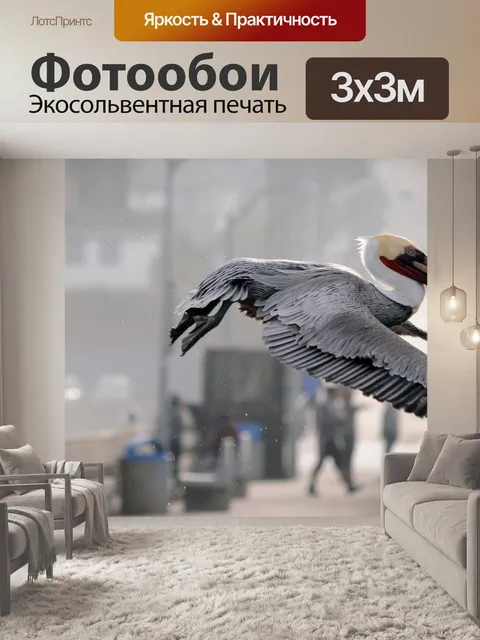 Фотообои Пеликан Летающий