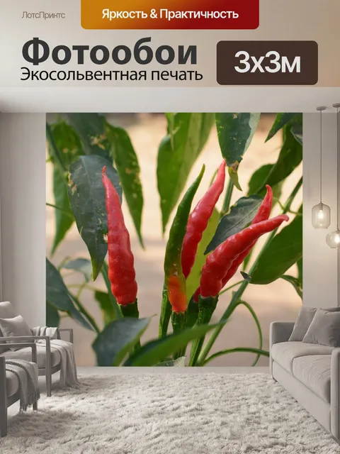 Фотообои Дерево