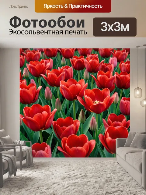 Фотообои Красные тюльпаны в цветущем поле
