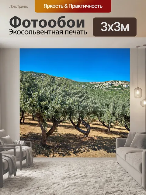 Фотообои греция, оливковая роща на фоне гор, представители местной флоры и фауны, с солнечными лучами, пробивающимися…