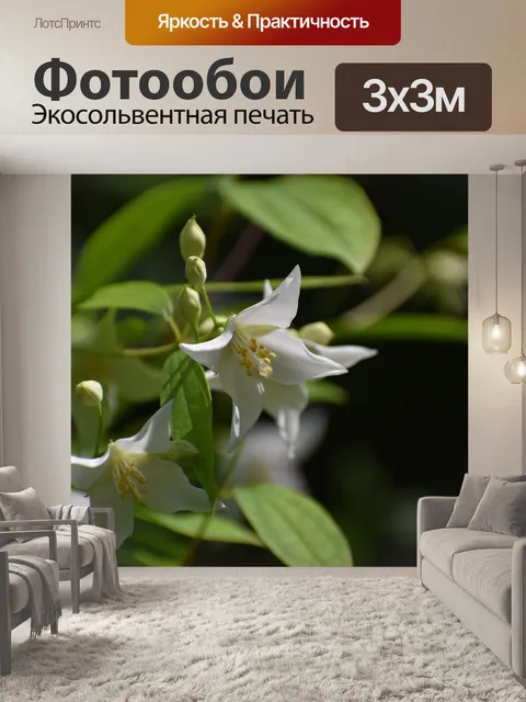 Фотообои Цветы