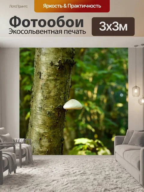 Фотообои Лес