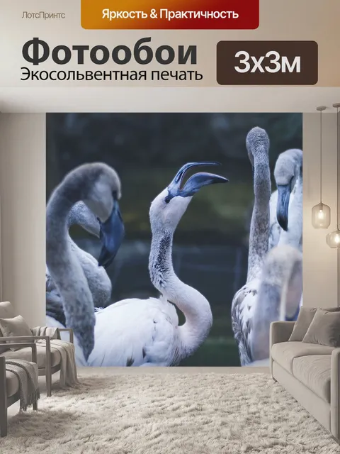 Фотообои Птица