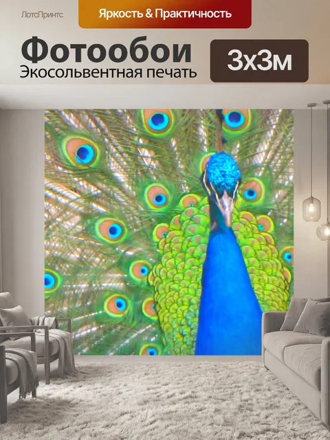 Фотообои Павлин распускает хвост 5