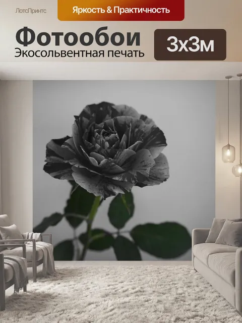 Фотообои Роза