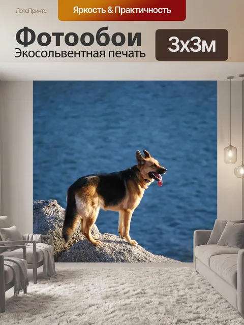 Фотообои Собака