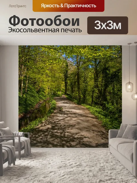 Фотообои Лес в Скиптоне