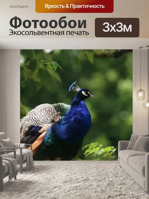Фотообои Птица