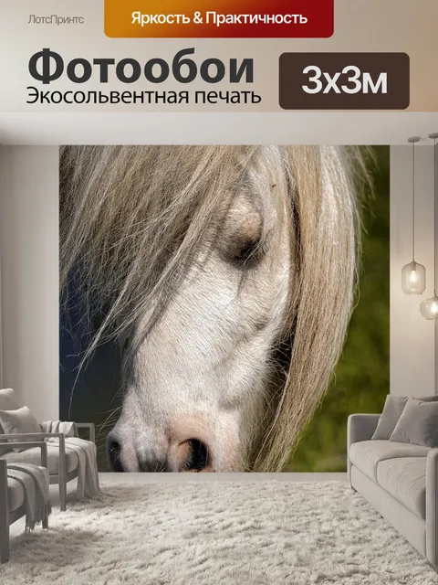 Фотообои Лошадь