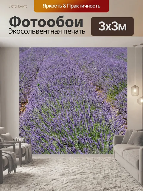 Фотообои Лаванда