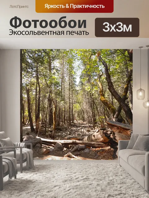Фотообои Лес