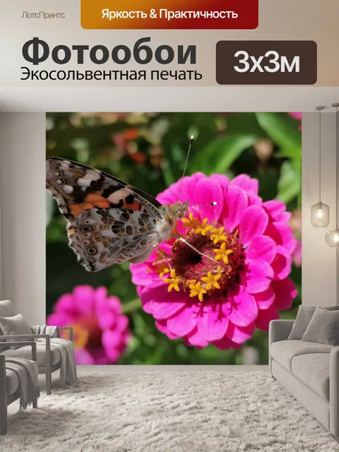 Фотообои Бабочка