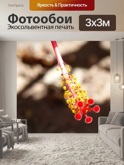 Фотообои Гибискус