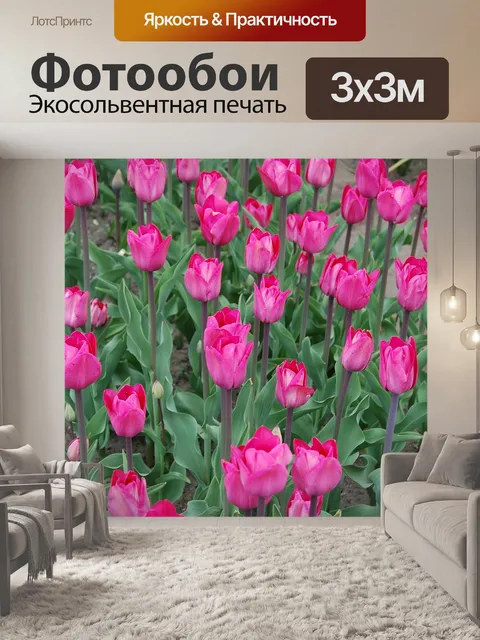 Фотообои Тюльпаны